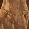 Antique Classic Belt with gold plating