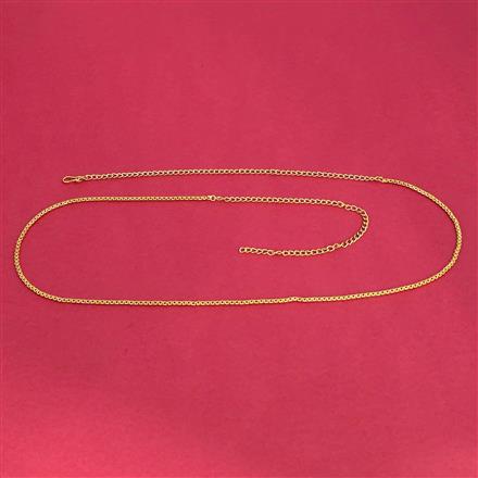 Antique Delicate Belt With Gold Plating