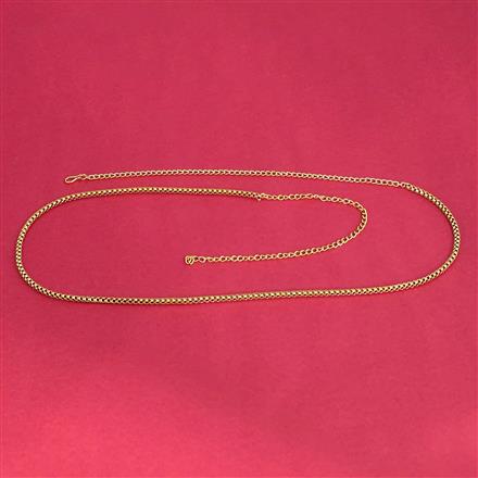 Antique Delicate Belt With Gold Plating
