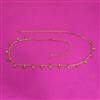 Antique Classic Belt With Gold Plating