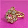 Antique Adjustable Ring With Gold Plating