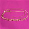 Antique Classic Belt With Gold Plating