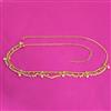 Antique Classic Belt With Gold Plating