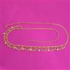 Antique Classic Belt With Gold Plating