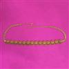 Antique Temple Belt With Gold Plating