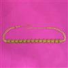 Antique Temple Belt With Gold Plating