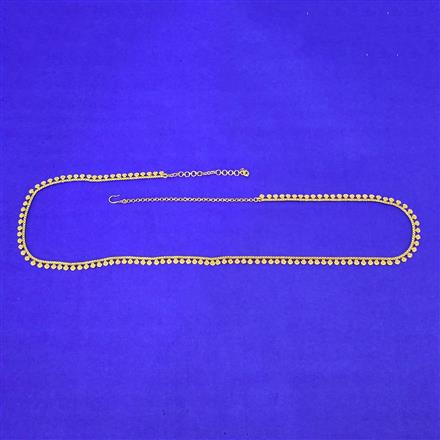 Antique Classic Belt With Gold Plating