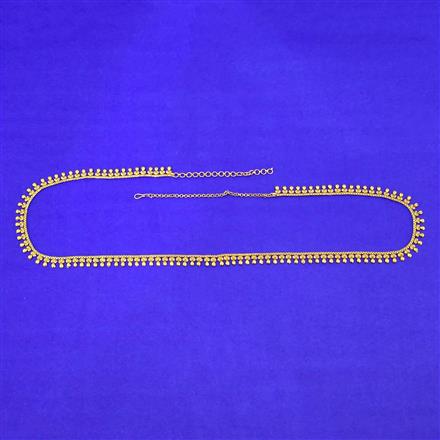 Antique Classic Belt With Gold Plating