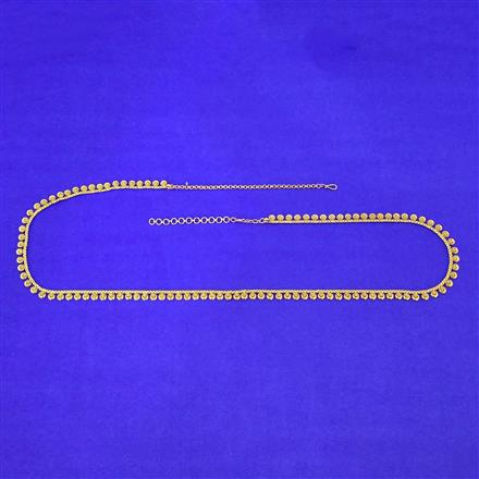 Antique Classic Belt With Gold Plating