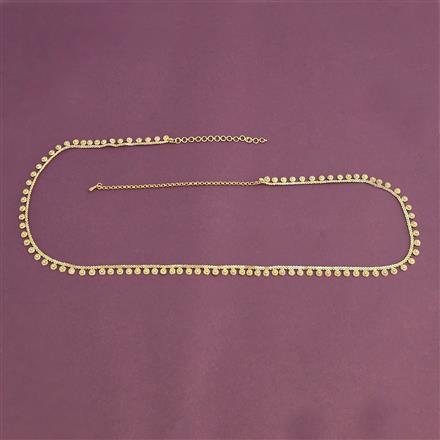 Antique Classic Belt With Gold Plating