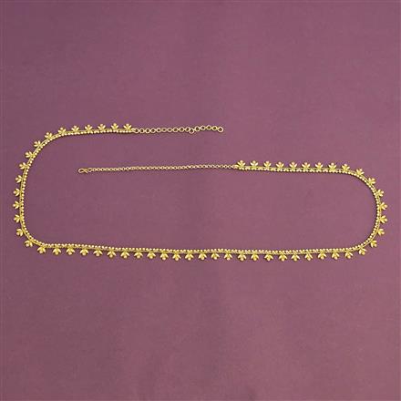 Antique Classic Belt With Gold Plating