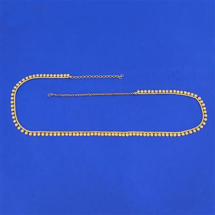 Antique Classic Belt With Gold Plating