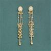 Antique Kashmiri Earring With Gold Plating