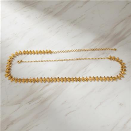 Antique Classic Belt With Gold Plating