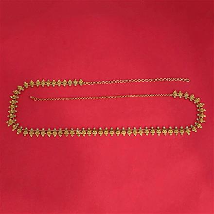 Antique Classic Belt With Gold Plating