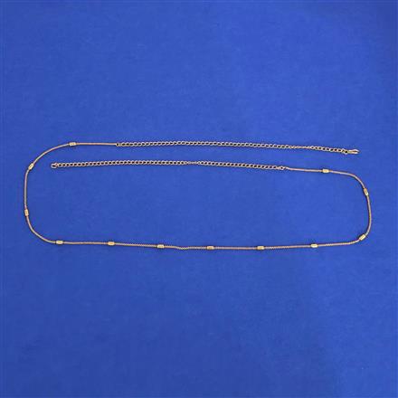 Antique Delicate Belt with Gold Plating