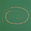Antique Classic Belt with Gold Plating