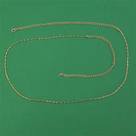 Antique Delicate Belt with Gold Plating