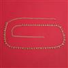 Antique Delicate Belt with Gold Plating