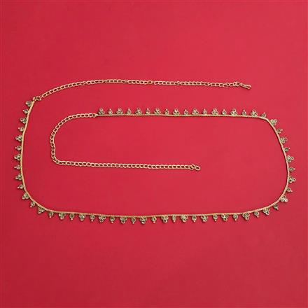 Antique Delicate Belt with Gold Plating