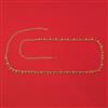 Antique Delicate Belt with Gold Plating