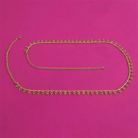 Antique Delicate Belt with Gold Plating