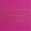 Antique Delicate Belt with Gold Plating