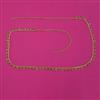 Antique Classic Belt with Gold Plating