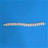 Cubic Zirconia Classic Bracelet With 2 Tone Plating