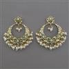 American Diamond Pearl Earring with Gold Plating