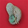 American Diamond Animal Brooch with Mehndi Plating