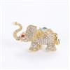 Western Birds Brooch With Gold Plating