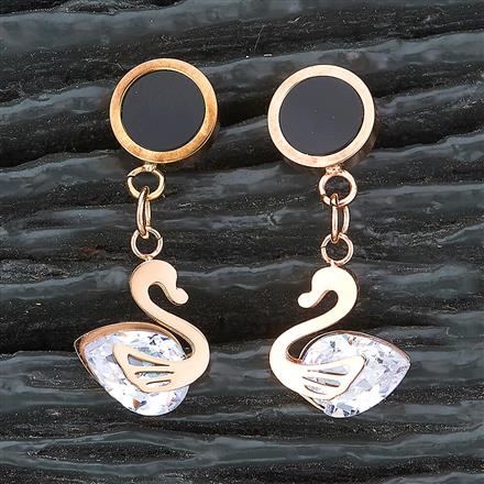 Western Stainless Steel Earring
