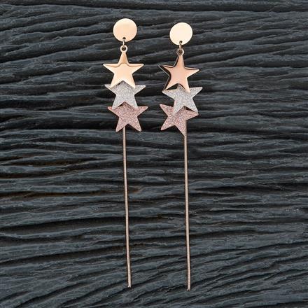 Western Stainless Steel Earring