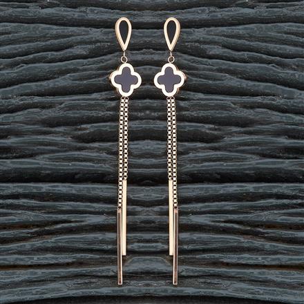 Western Stainless Steel Earring