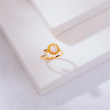 Western Anti Tarnish Ring