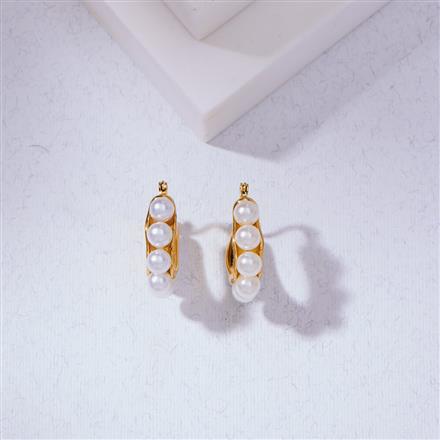 Western Anti Tarnish Hoops