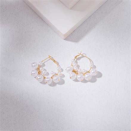 Western Anti Tarnish Hoops