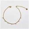 Western Anti Tarnish Anklet