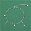 Western Anti Tarnish Anklet