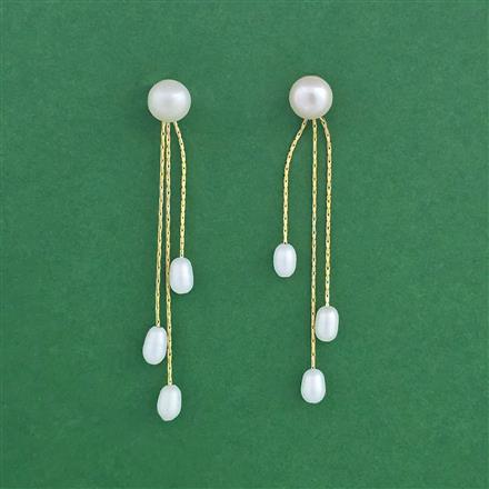 Western Anti Tarnish Earring