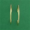 Western Anti Tarnish Earring