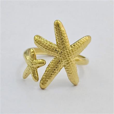 Western Anti Tarnish Ring