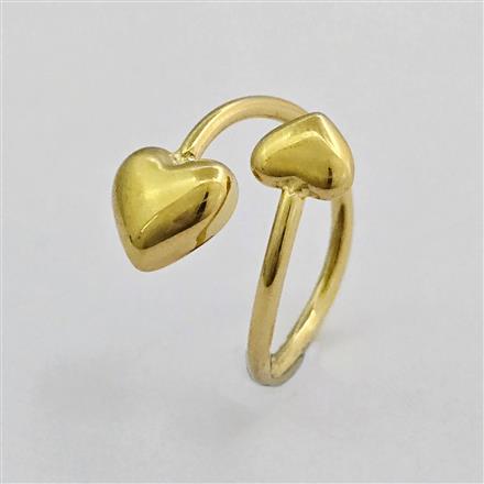 Western Anti Tarnish Ring