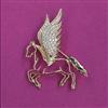 Western Brooch