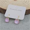 Western Anti Tarnish Steel Earring