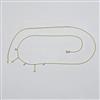 Western Delicate Belt
