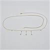 Western Delicate Belt