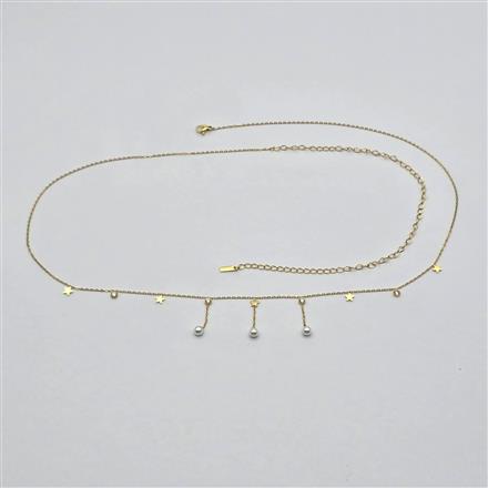 Western Delicate Belt