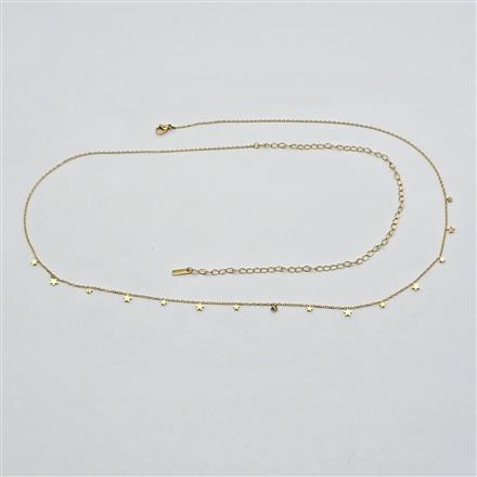 Western Delicate Belt